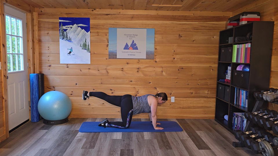 Week 2: Session 4/ Beginner Ski Fitness